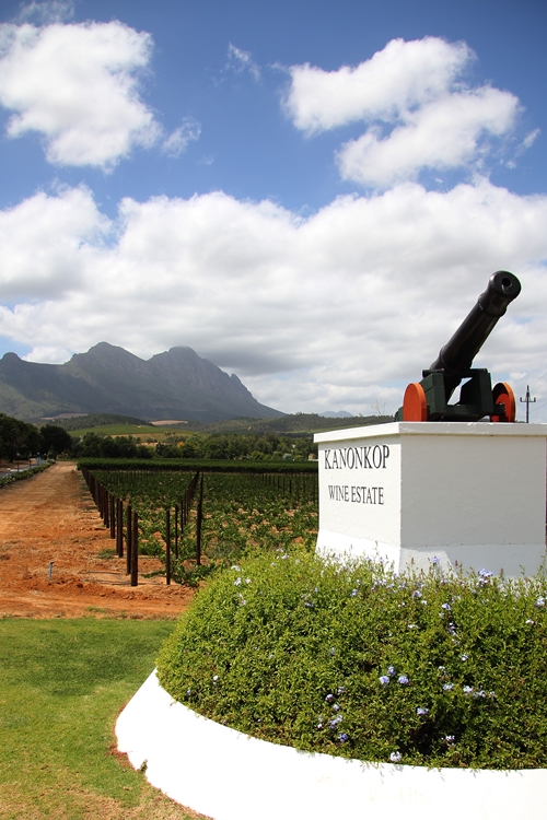 image of the Canon at Kanonkop Wine Estate