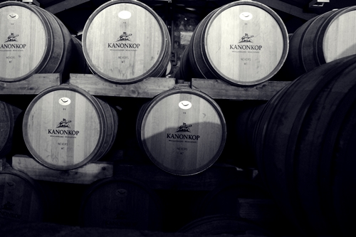 image from the barrel room at Kanonkop