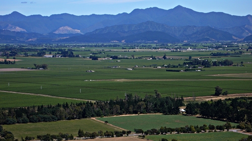 image of the view across the Marlborough vineyards