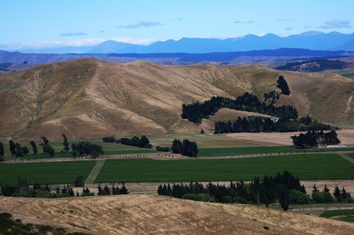image of the view across the Wither Hills in Marlborough