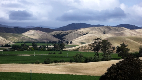 image of Marlborough vineyards