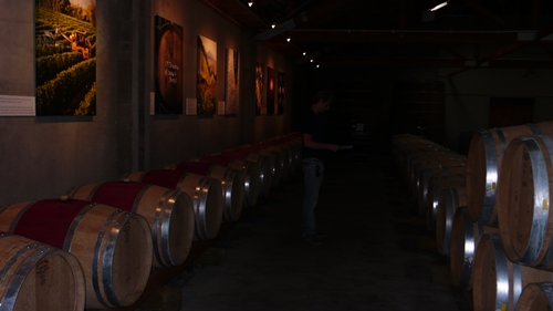 image of the barrel room at Cloudy Bay Vineyards