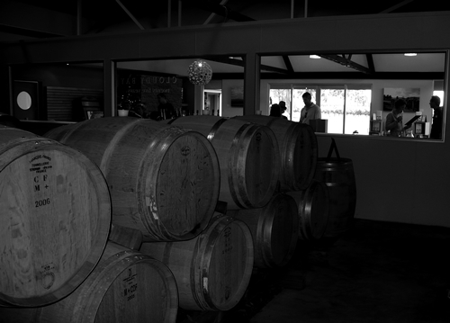 image of the view into the tasting room from the barrel room at Cloudy Bay Vineyards
