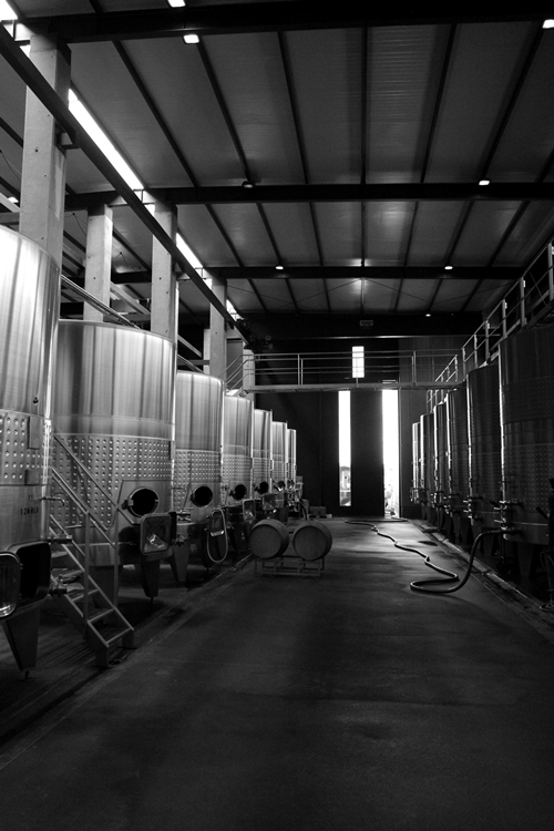 image of the fermentation tanks at Vina Cobos