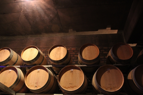 image from the barrel cellar at Achaval Ferrer